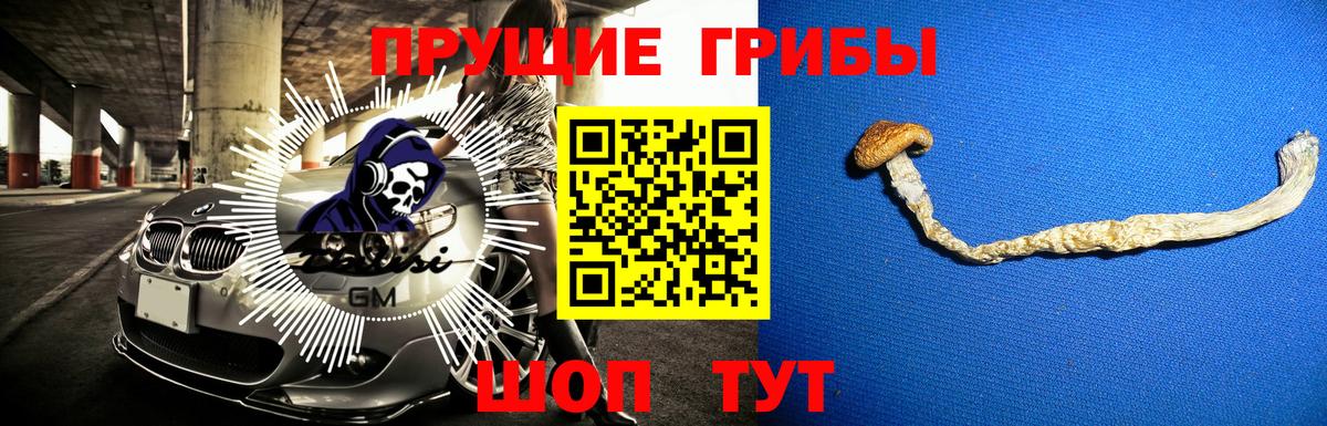 Галлюциногенные грибы прущие грибы Чистополь