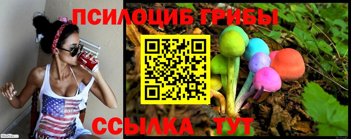 Галлюциногенные грибы Magic Shrooms  Псилоцибиновые грибы MAGIC MUSHROOMS  Чистополь  Вход с VPN 